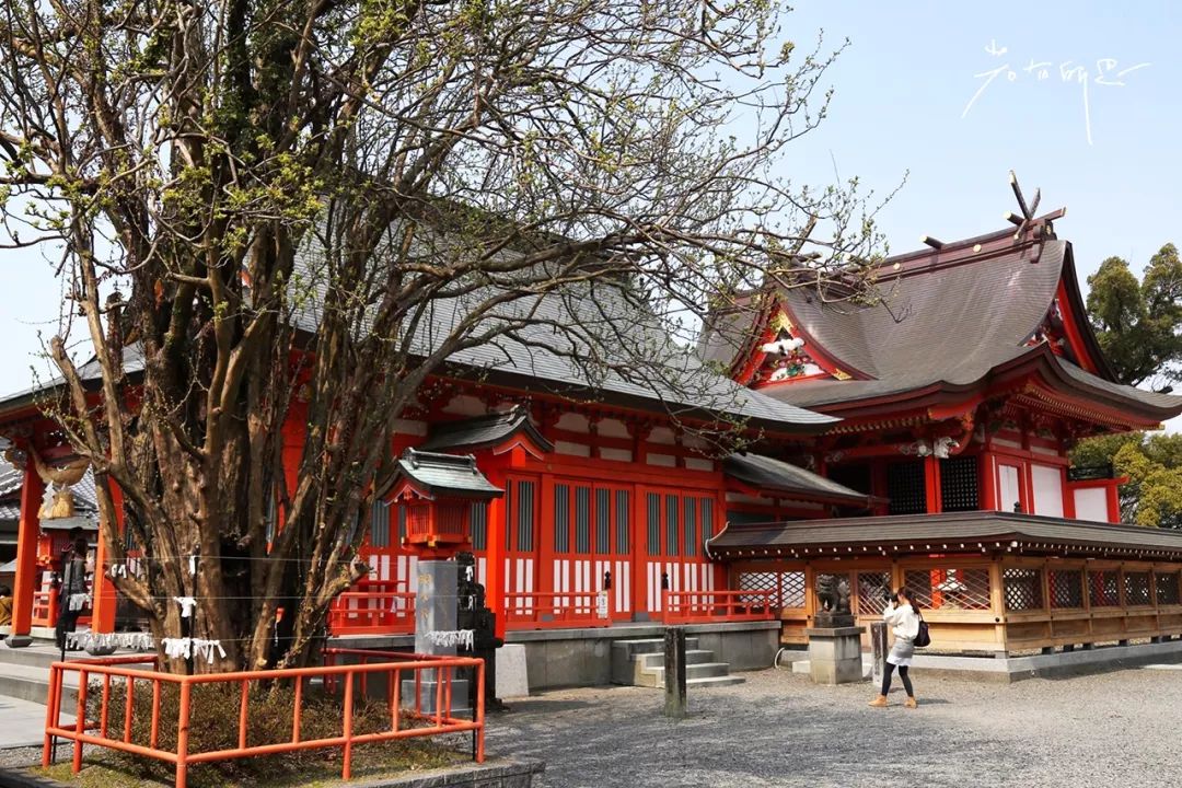 一次游轮之旅,一次悠闲惬意的美好旅行