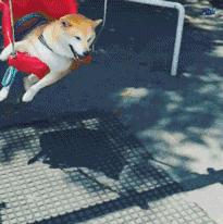 晋江推文完结免费,晋江推文完结甜宠