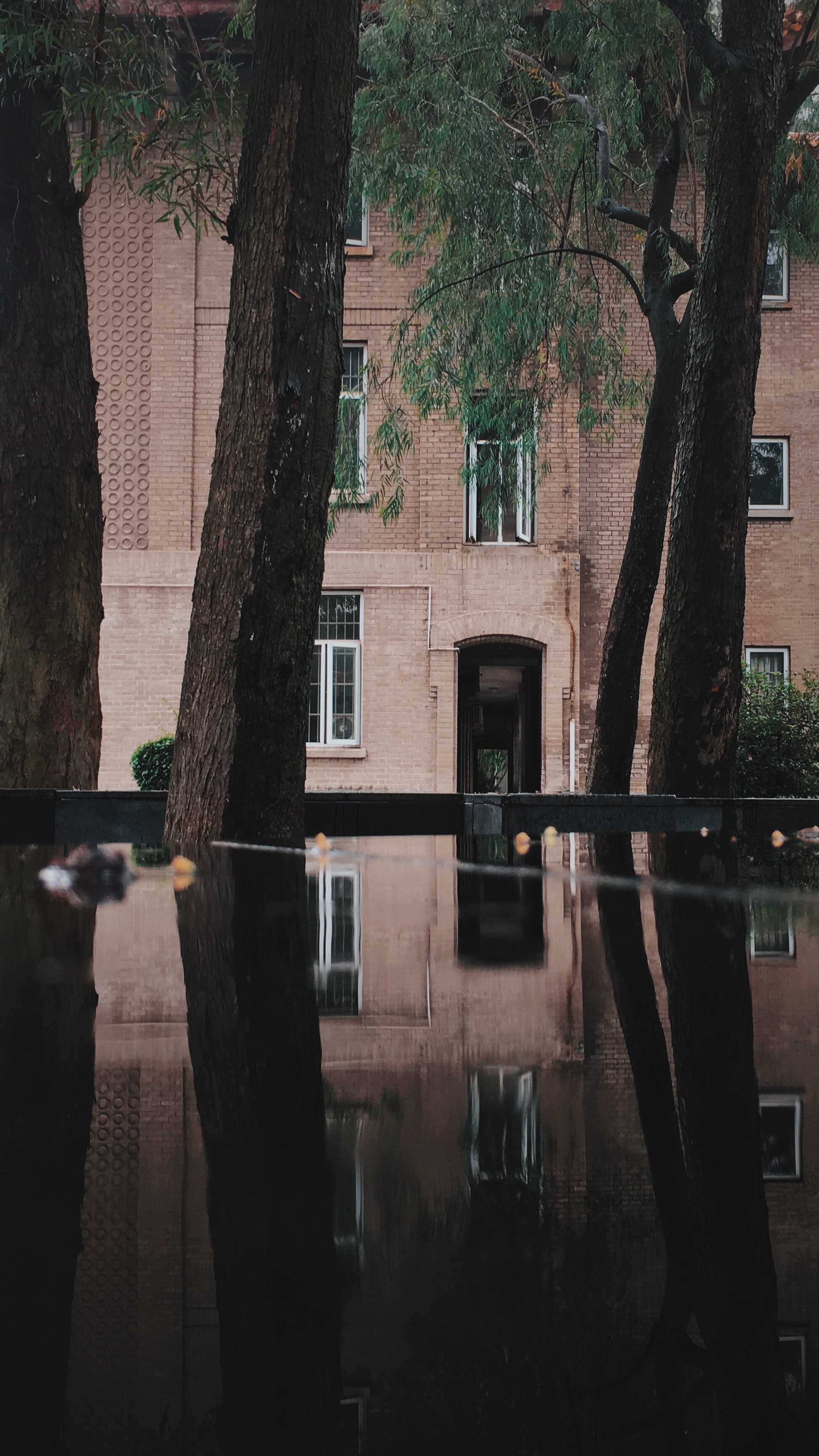 用什么app能拍出高级的照片,教你用手机拍出美哒哒的照片