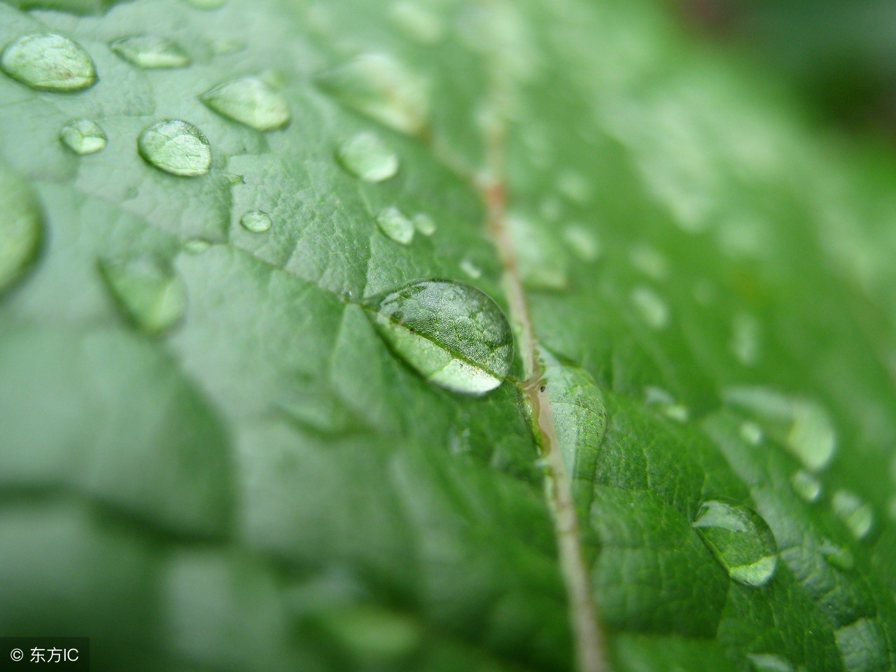 日语中那些与“雨”有关的词汇小结