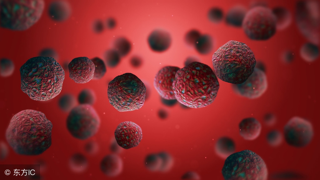 养猪用阿莫西林有用吗,阿莫西林在养猪上的用量