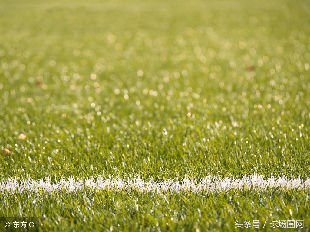 球场专用围网厂家电话,球场围网厂家定制安装一体化