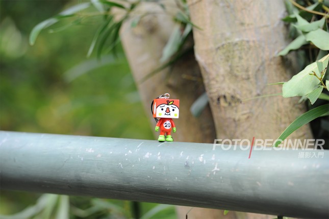 新手拍照必学15个拍摄技巧,拍摄浅景深的4种简单方法