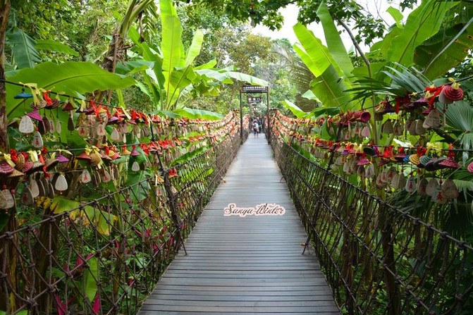 相约海之南歌曲,浪漫走天涯相约海之南