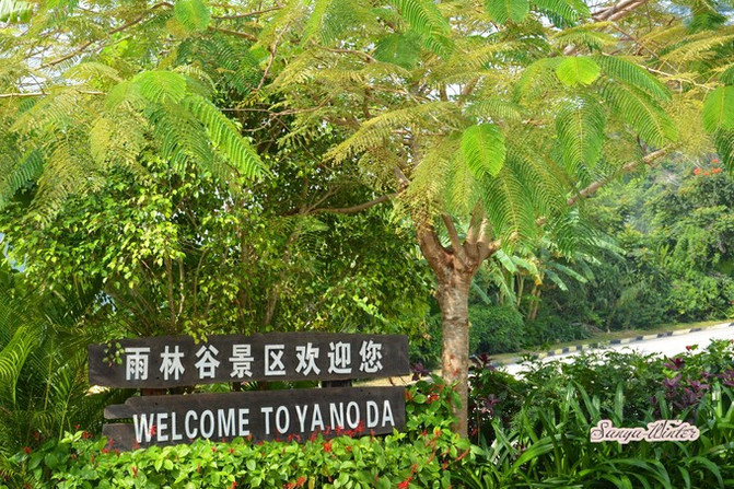 相约海之南歌曲,浪漫走天涯相约海之南