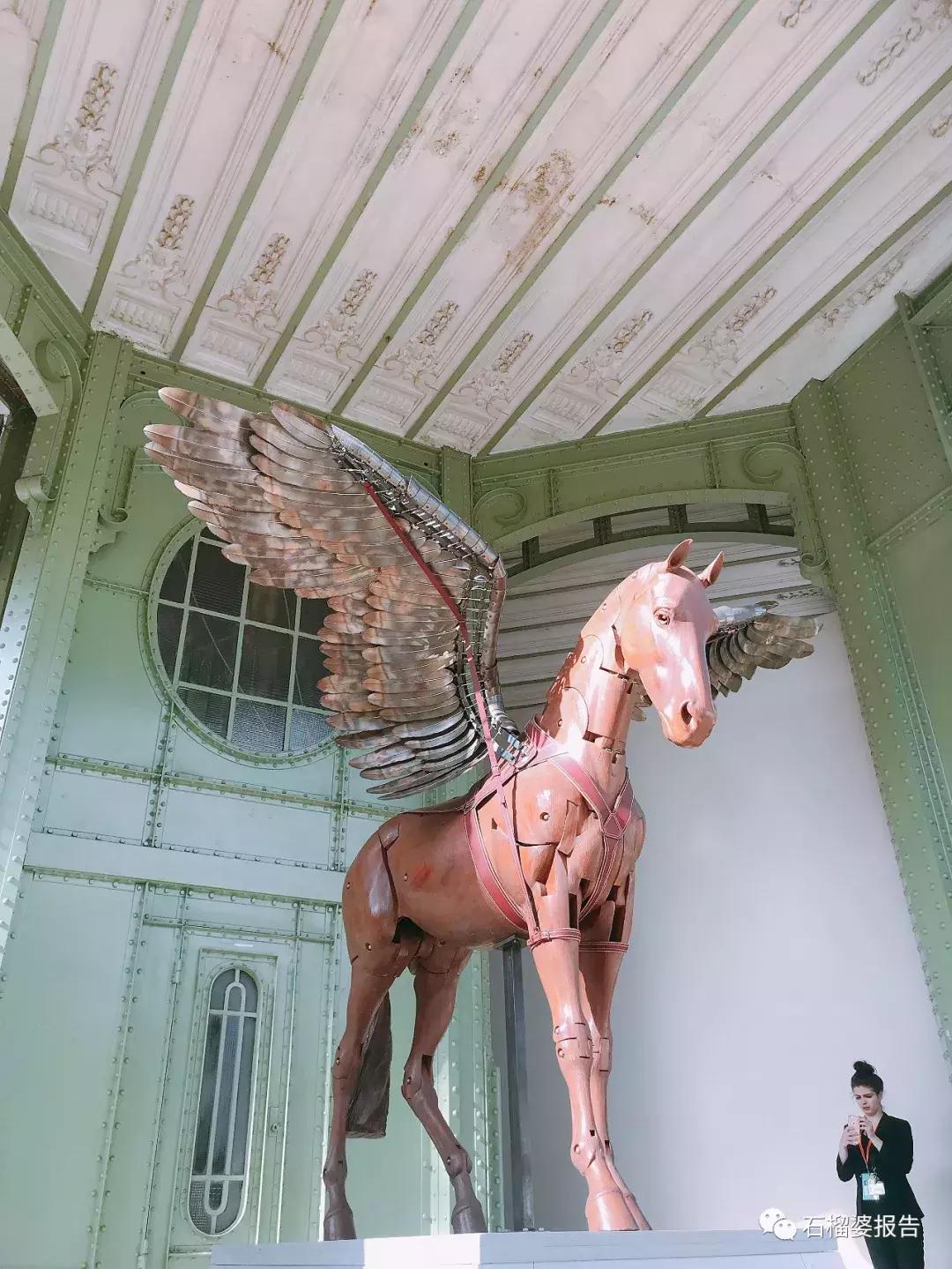 婆婆在现场|愿你跨越重重障碍，仍保持美丽姿态