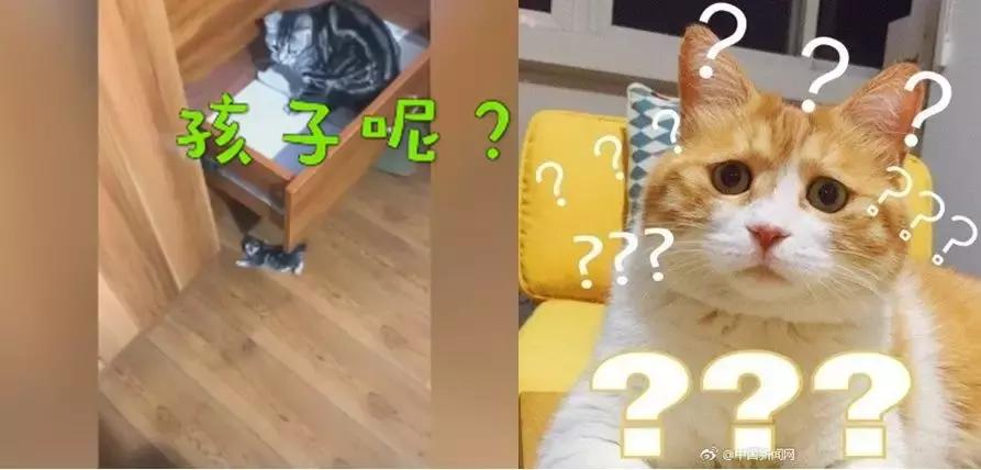 三分钟法治新闻全知道,三分钟法治全知道