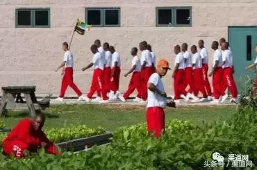 美国私营监狱有多赚钱,国外私人监狱怎么盈利