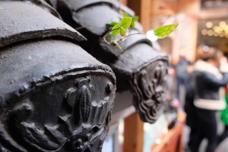 两个闺蜜去拉萨,两个闺蜜去清迈