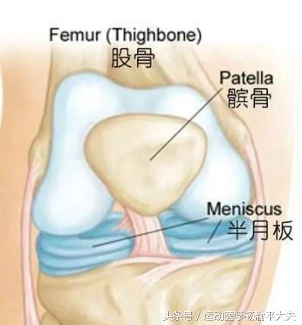 半月板撕裂手术缝两针多少钱,半月板撕裂缝1针