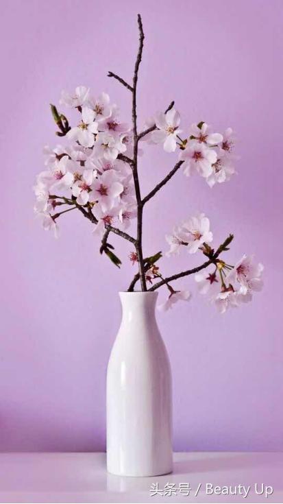 减龄又百搭的日常妆来咯,一年四季都可以搭配的磨砂橘妆容