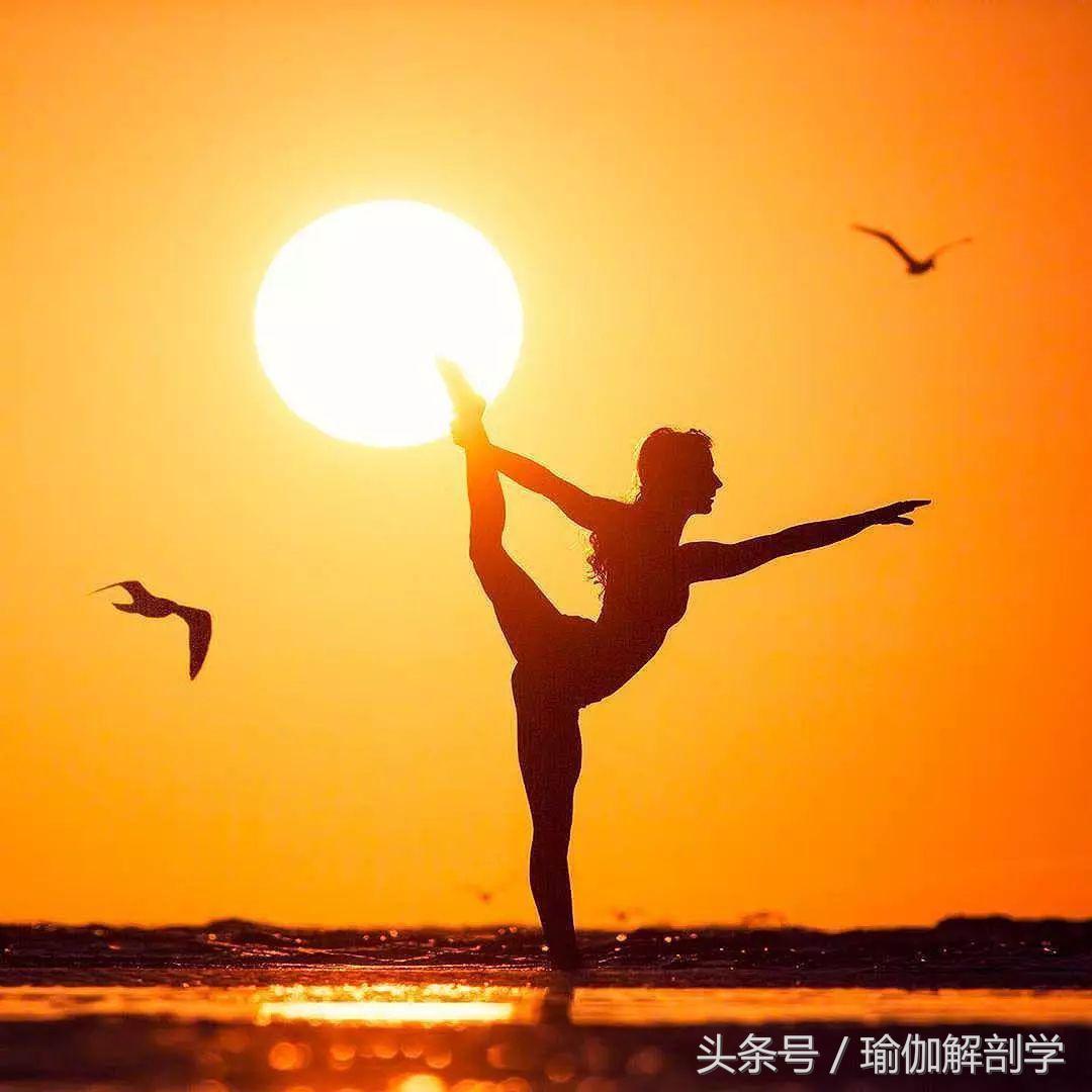 瑜伽真的是骗人的吗,瑜伽到底是不是骗人的