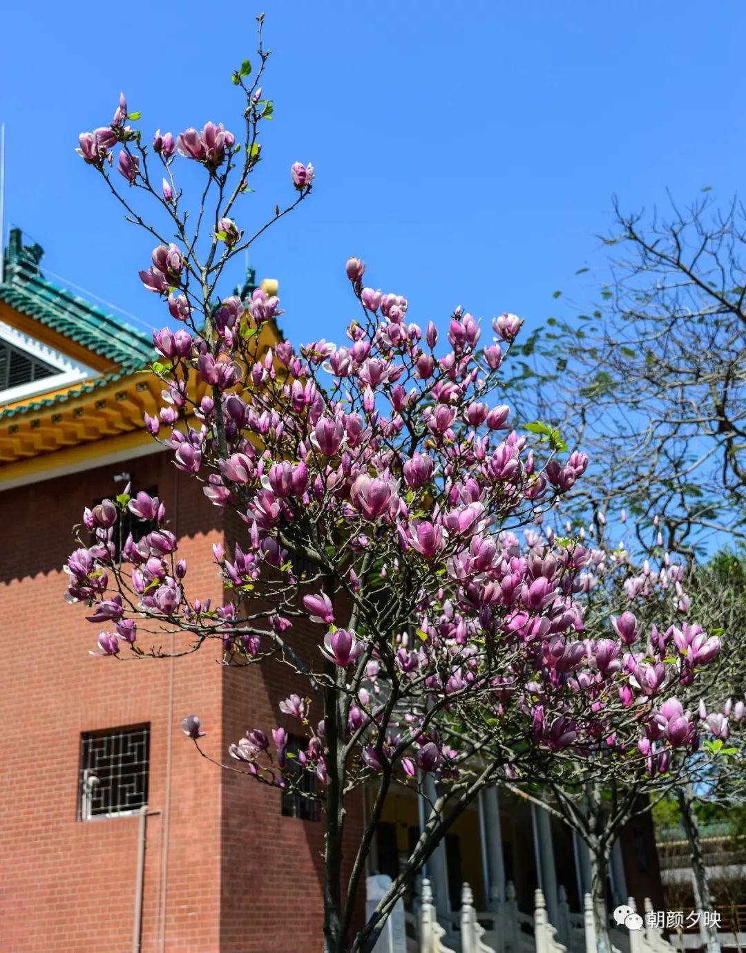 中山纪念中学100周年校庆,中山纪念中学80周年校庆
