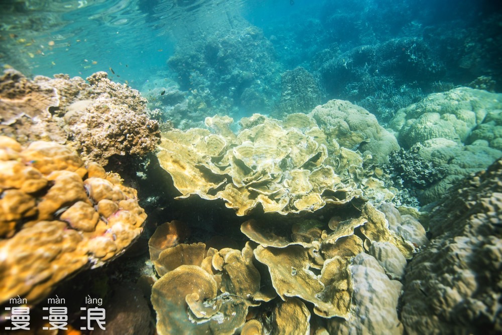 帕劳超详细自由行攻略,帕劳攻略详细讲解