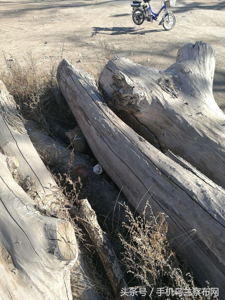 70年代的集宁,老集宁记忆