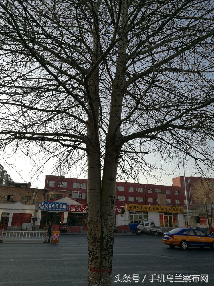 老集宁的回忆,老集宁的历史