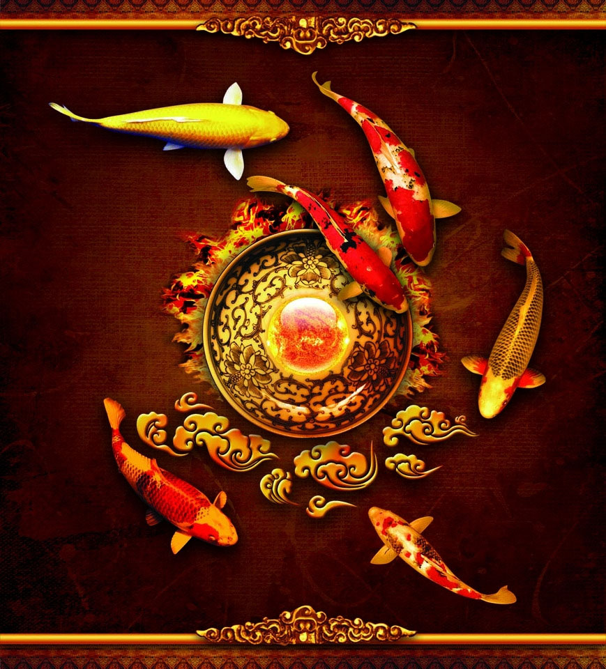 锦鲤鳃充血是什么病该怎样治疗,锦鲤充血什么原因