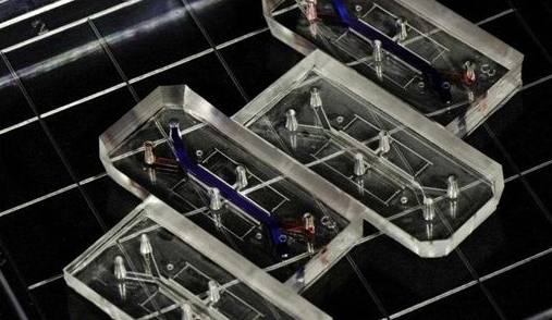 目前世界上最小的芯片,世界上量产最小的芯片