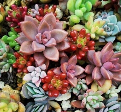 身在天涯心在咫尺情在心里,身在天涯心在墨里是什么意思