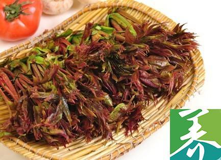 安徽省阜阳市经济,安徽省阜阳市