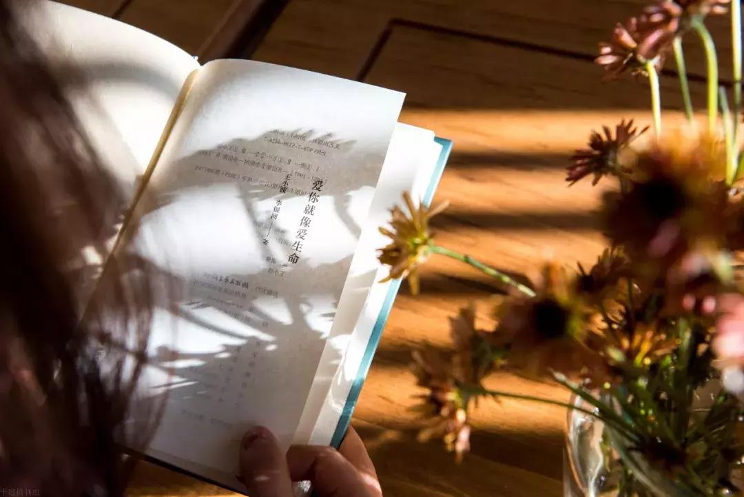 中国·宋庄村上·云顶,历时四年,一个来了就不想走的地方