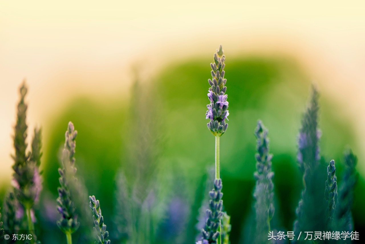 不为难别人是最好的教养,一个人最好的教养不是对外人