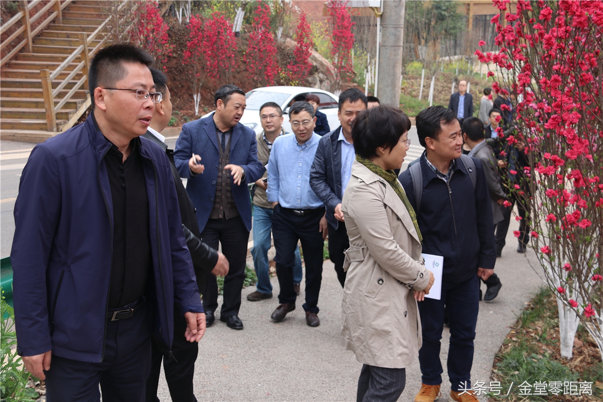 金堂玉皇山生态康养,金堂县玉皇养生谷详细介绍