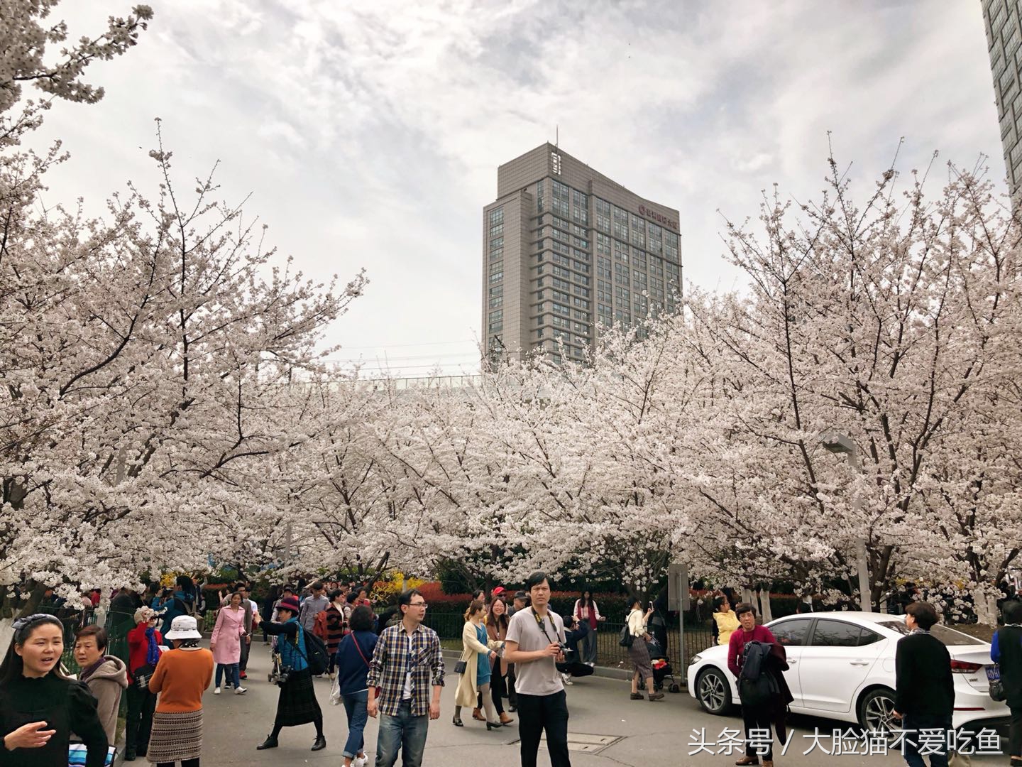上海都市频道我和春天有个约会,与春天来个最美的约会