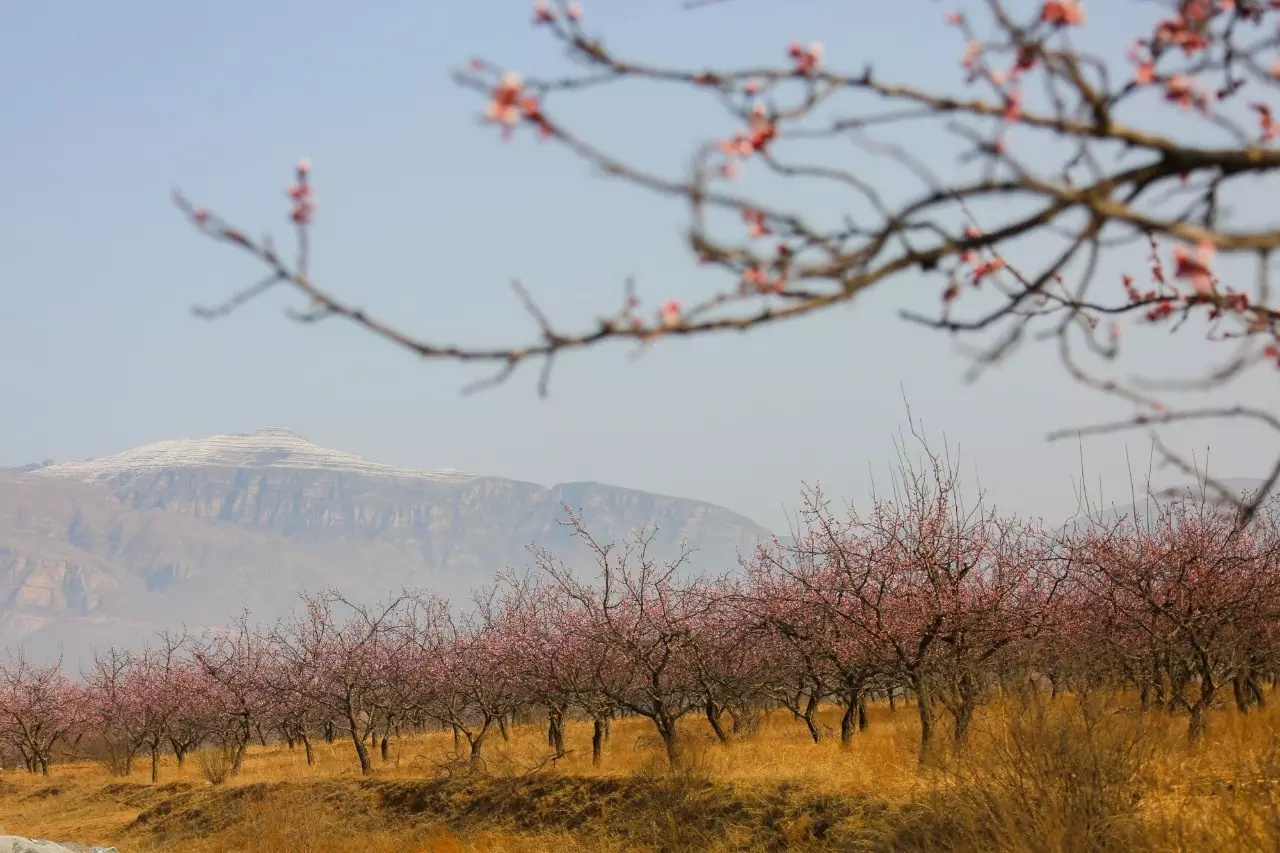 易县云蒙山皇家森林公园附近爬山,易县周边适合带孩子爬山的地方