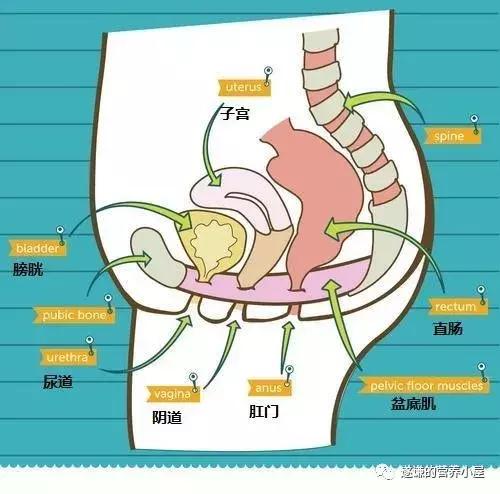 怎么样缓解便秘的小方法,按揉腹部缓解便秘的正确方法