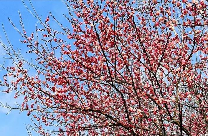 滨海，向全世界发出邀请！