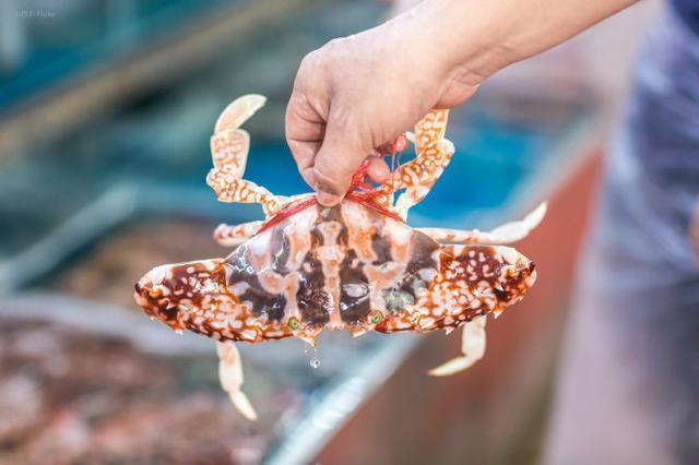 黑妹胖胖旅游记,三亚胖小六5天4晚自由行团报价