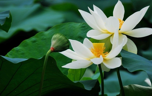 测试自己名字适合的数字,测自己名字的凶吉