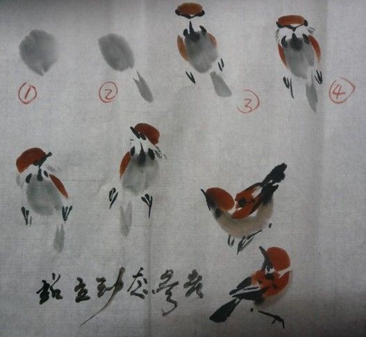 国画鸟的画法初学者,鸟的眼睛画法国画