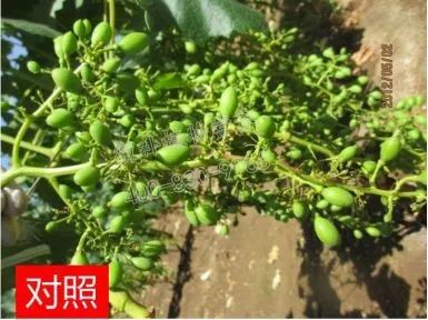 余教授讲座完整视频,余教授工艺大讲堂