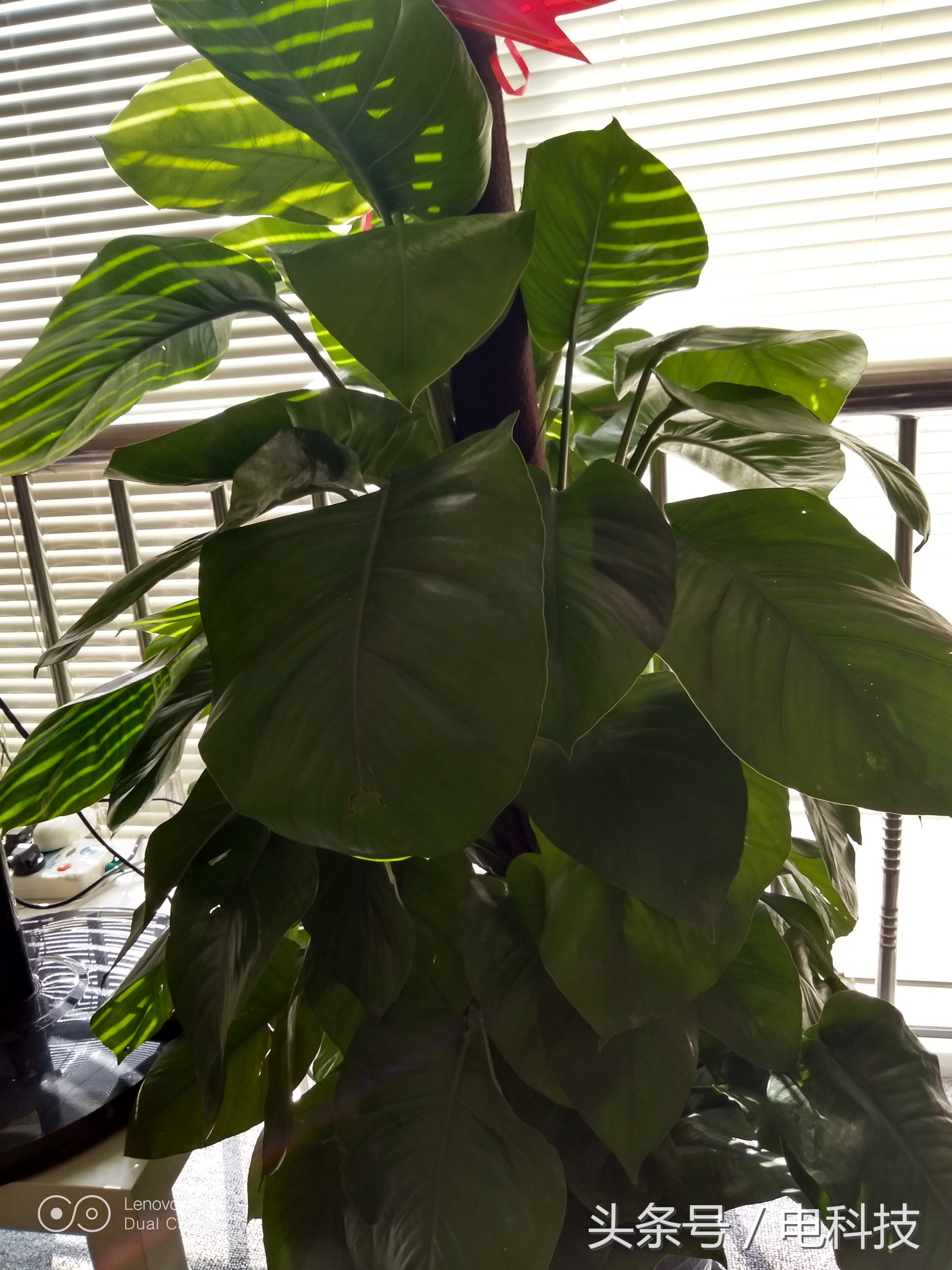 联想s5手机参数配置详细,联想s5智能手机参数配置