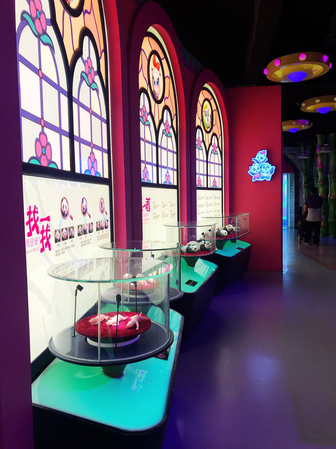 广州长隆野生动物园亲子游攻略,广州长隆野生动物园最全游玩攻略