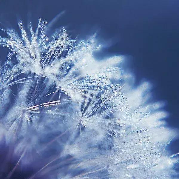 什么是生什么是死,什么是生