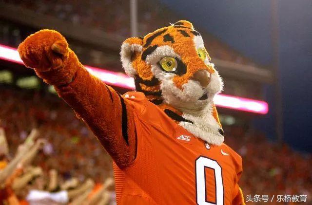 南卡罗来纳有什么大学,南卡罗来纳大学值得读吗