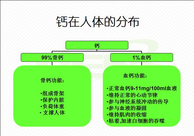 你不能不知道的粤语歌曲,钙片广告钙世无双哪个字错了