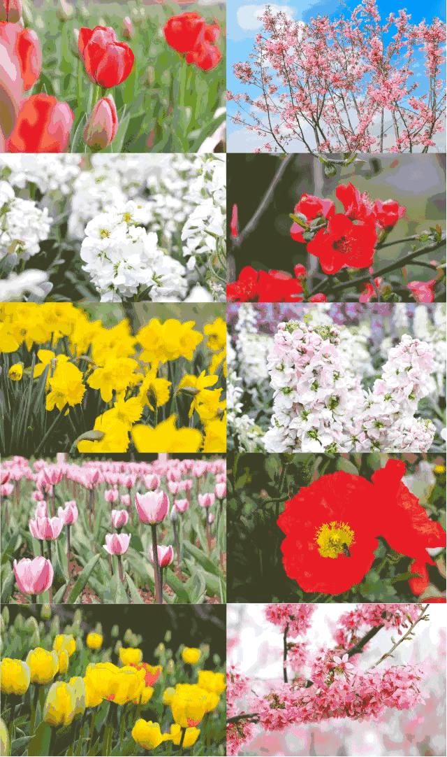 三月什邡旅游景点,三月的成都美景