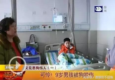 被狗咬着不松口怎么快速脱离,被狗咬住不放怎样让它松嘴