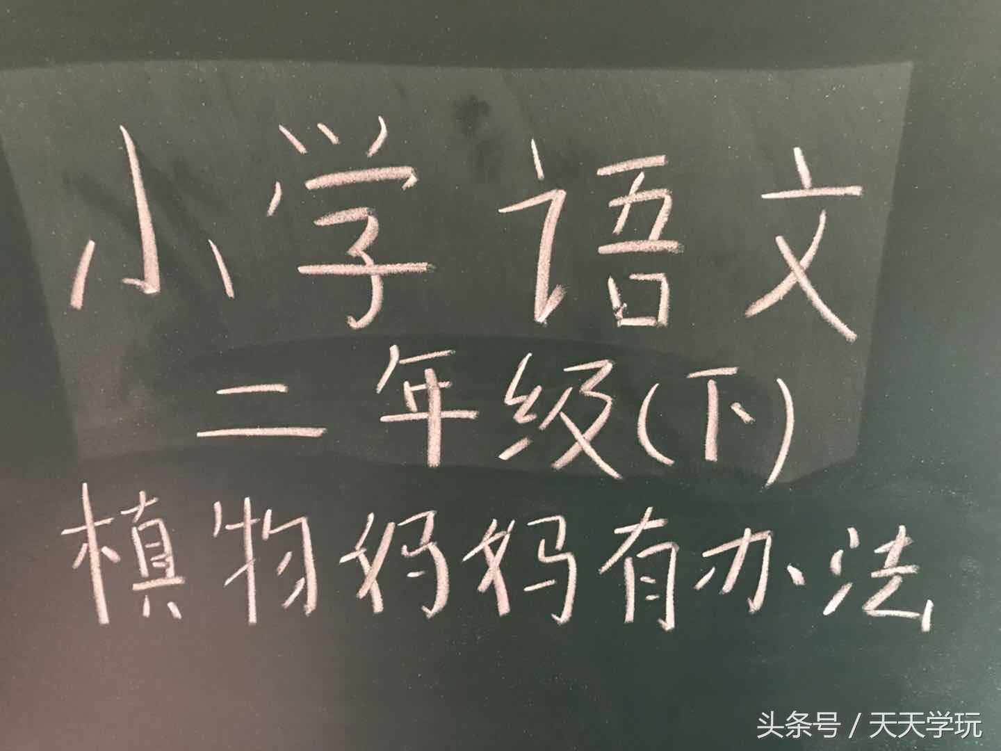 二年级语文辅导第三课植物妈妈,语文二年级第3课植物妈妈有办法