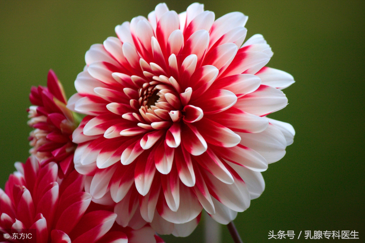 乳房碰到痛是乳腺癌吗,乳房时不时刺痛是乳腺癌吗