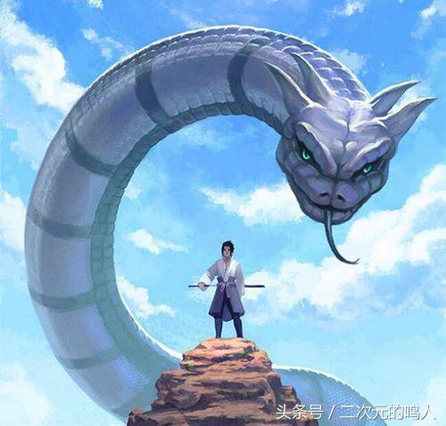 火影忍者宇智波佐助单挑,宇智波佐助换过几次通灵兽