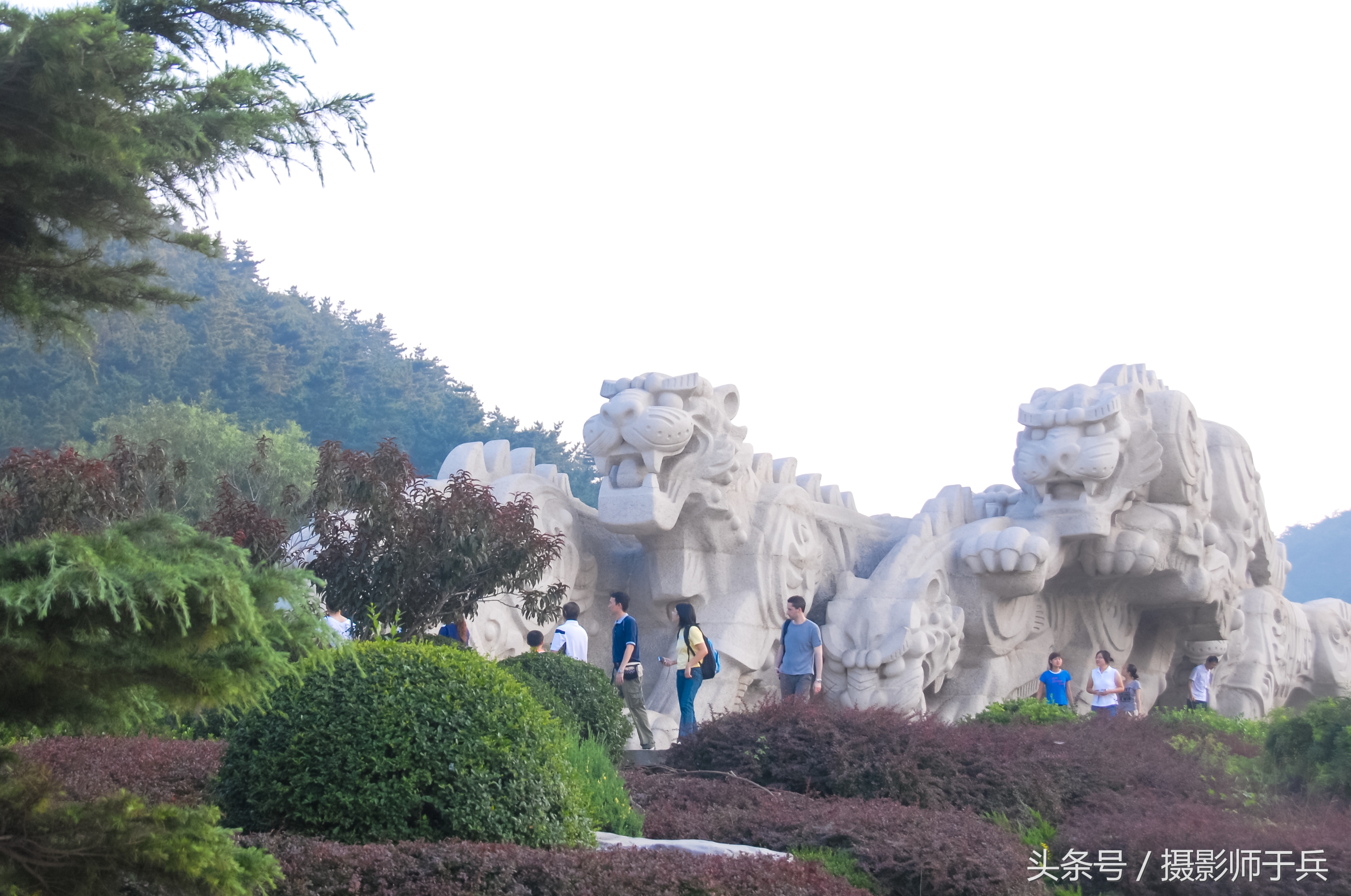 大连海洋主题公园在哪里,大连最著名的老虎滩海洋公园