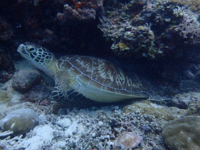 闺蜜一起游东湖公园,跟闺蜜一起去观光大海