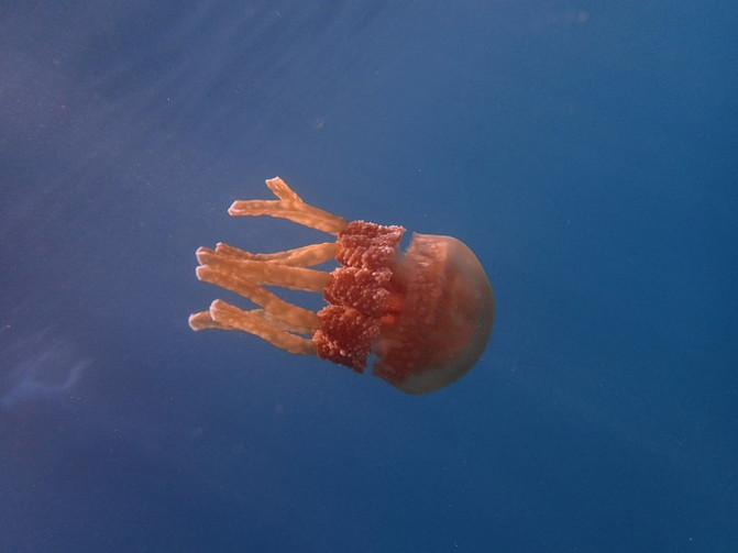 闺蜜一起游东湖公园,跟闺蜜一起去观光大海