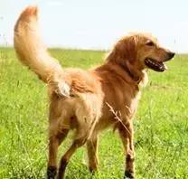 确认过的眼神是我想宠的人,确认过眼神是我想撩的灵魂