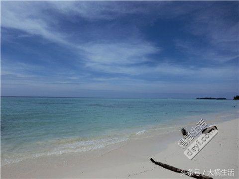 悠哉的沙巴行空气清新重要的是接机仅需1元